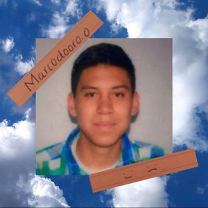 Yo te voy a amar