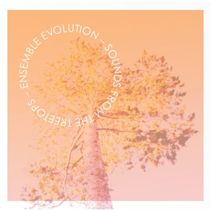 The Cabin (feat. Angela Shankar & Anna K. Larson)