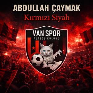 Kırmızı siyah