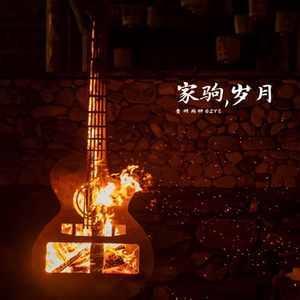 家驹岁月