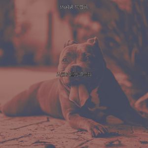 有趣训练犬情怀