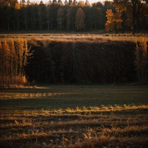 Great Man Coded Beats and Graceful Minds