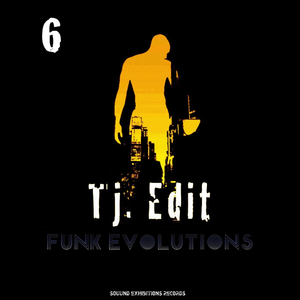 Funk Evolutions 6 (Original Mix)