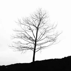 你能不能慢点忘记我