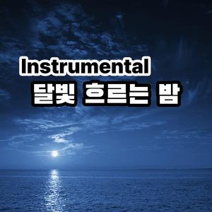 달빛 흐르는 밤