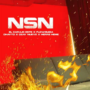 Nsn (feat. Flowguiza, Dhayto & Herre Heme)