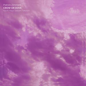 Crow Or Dove (feat. Kevin Hays & Satoshi Takeishi)