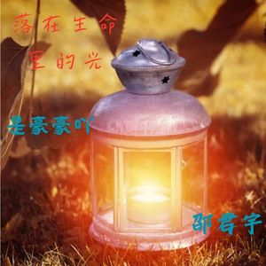 落在生命里的光