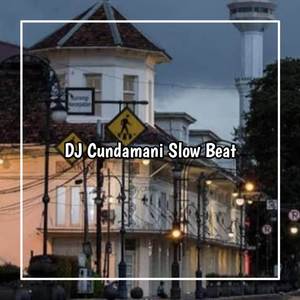 DJ CUNDAMANI - Lintang Suwon Ngancani Suwon Sampun Nyekseni