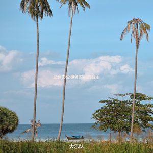 适合读伤感的音乐