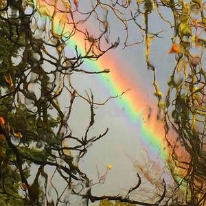 The Sparkle In Your Eyes