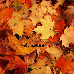 เนื้อเพลงไว้ใจได้กา