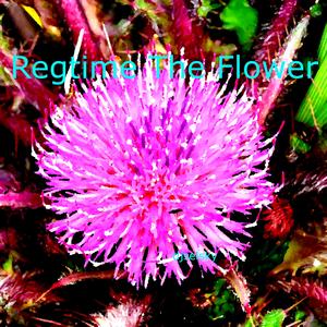 Regtime The Flower