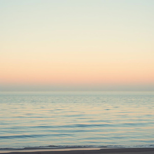 Whispering Feathers Above