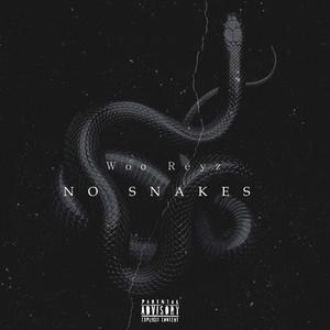 No Snakes