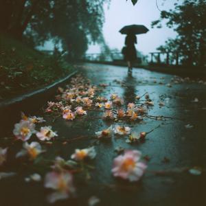 Tide in the Hollow (Instrumental)