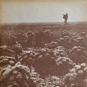 Nijlpaard Reuzemajoor