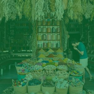 温和专卖店梦想