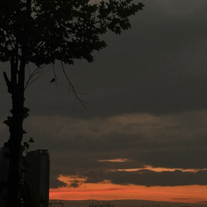 疯爻空
