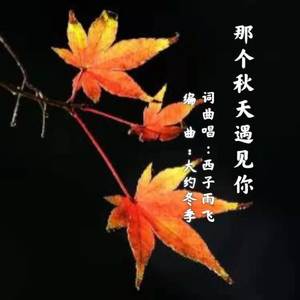 那个秋天遇见你