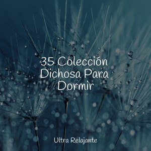 Sensaciones Sinfónicas