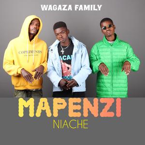 Mapenzi niache