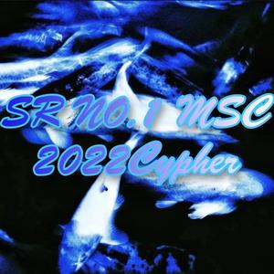 上饶一中2022Cypher（SR NO.1 MSC 2022Cypher）