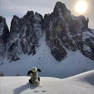Early snow
