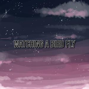 Watching A Bird Fly