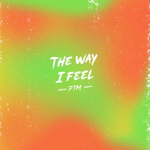 The Way I Feel