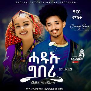 Zeab Atsbeha (Hadiu geberi) ዘኣብ ኣፅብሃ -ሓዱኡ ግበሪ New Tigrigna traditional Music 2024