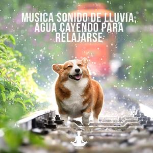 Sonido para relajarse lluvia agua cayendo, Pt. 3