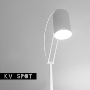Spot