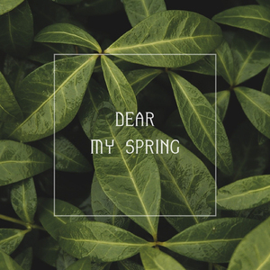 Dear My Spring