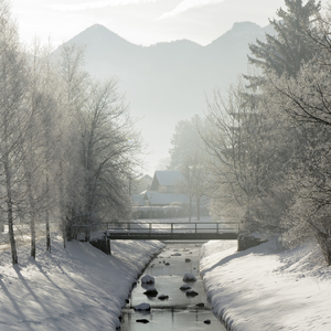 候鸟的航线-琵琶
