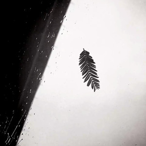 我还是很喜欢你（Cover 张碧晨）