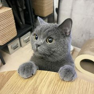 Angels Like You (slowed)