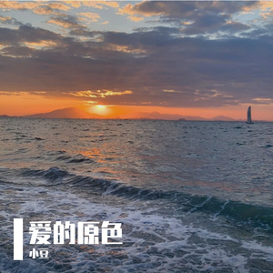 最纯粹的爱