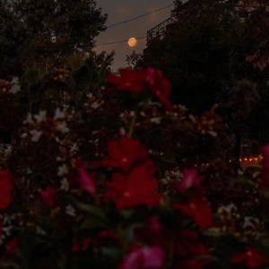 最初的少年 （prod by Lion_Z狮子）