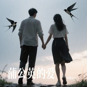 蒲公英的爱