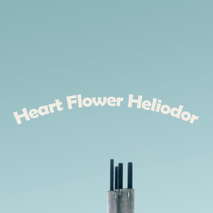 White Hidcote Soursop