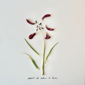 What It Takes to Heal