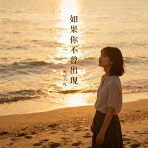 如果你不曾出现