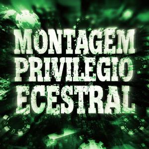 MONTAGEM PRIVILEGIO ECESTRAL (feat. DJ SAMBA999)