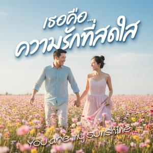 เธอคือความรักที่สดใส (You are my sunshine)