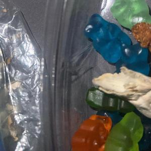 THIS IS NOT YOUR CITY