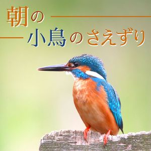 モーニングコール