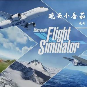 Flight Slmulator 2020（remix）