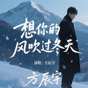 想你的风吹过冬天