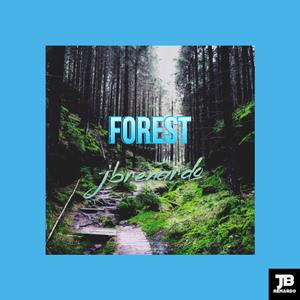 Forest (Radio Edit)